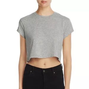 Splendid Cropped Tee in Heather Grey - XS